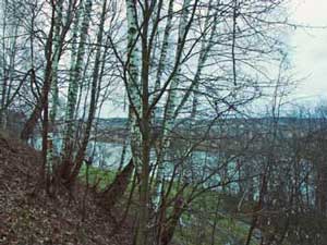 ��� � ������������ ��������