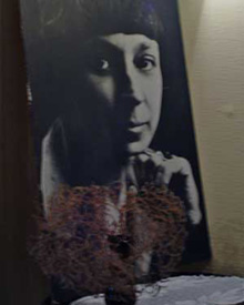 ������ ��������