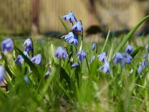 ������������